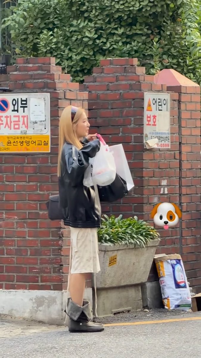 Someone bumped into Seulgi at Mangwon market