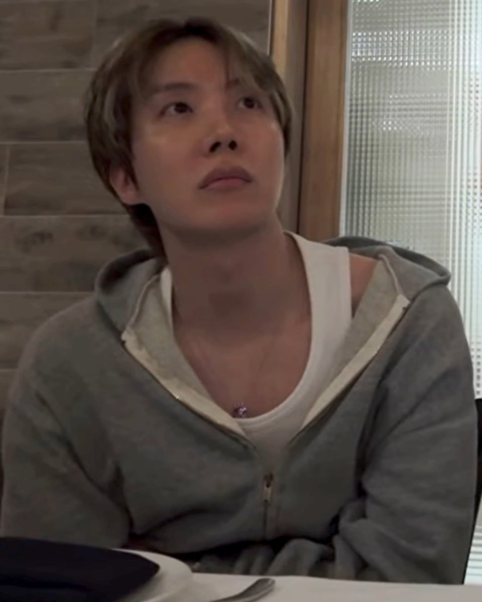 hobi in v's vlog | full cut