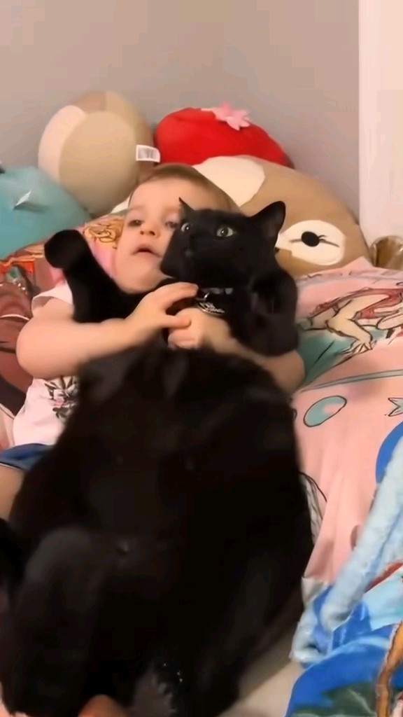 Cats just became the baby’s favorite babysitter😺😸