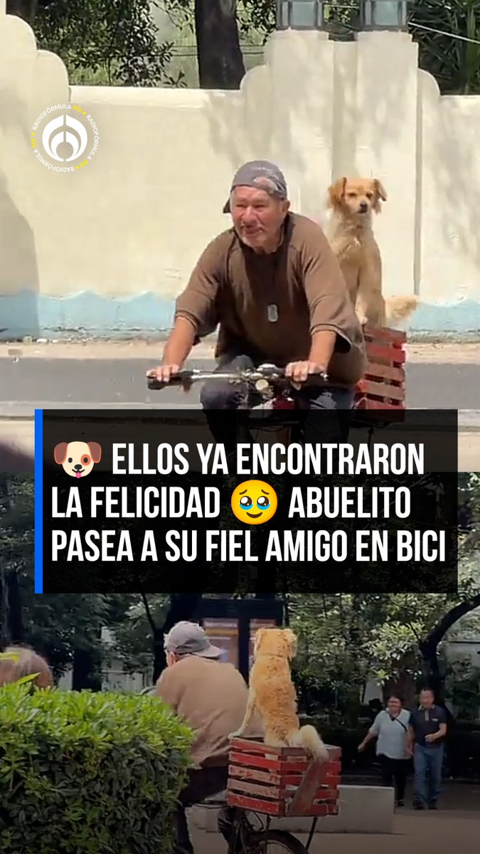 🐶 ¡No estamos llorando! 🥹 Un abuelito y su fiel amigo fueron captados paseando a bici, en el Parque México, y nos recordaron que la felicidad está en los detalles más simples ✨