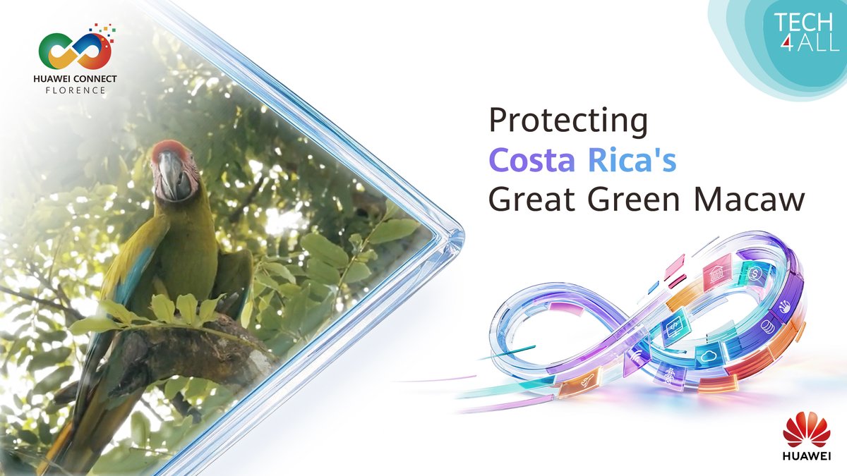 Protecting a species starts with understanding it. In Costa Rica, AI analyzes the calls of endangered great green macaws to help researchers study their distribution and behavior. Discover more TECH4ALL initiatives at HUAWEI CONNECT 2026 in Florence!