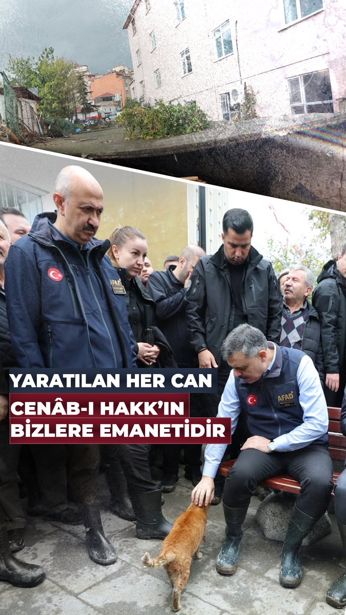 Yaratılan her can, Cenâb-ı Hakk’ın bizlere emanetidir. Selin yaralarını sarmak için bulunduğumuz bölgede, küçük bir dostumuzla da yolumuz kesişti. Başını okşadığımız bu minik dostumuz gibi, afetten etkilenen bütün can dostlarımızı da koruyup kollayacak, ihtiyaçlarının karşılanması için gereken hassasiyeti göstereceğiz.