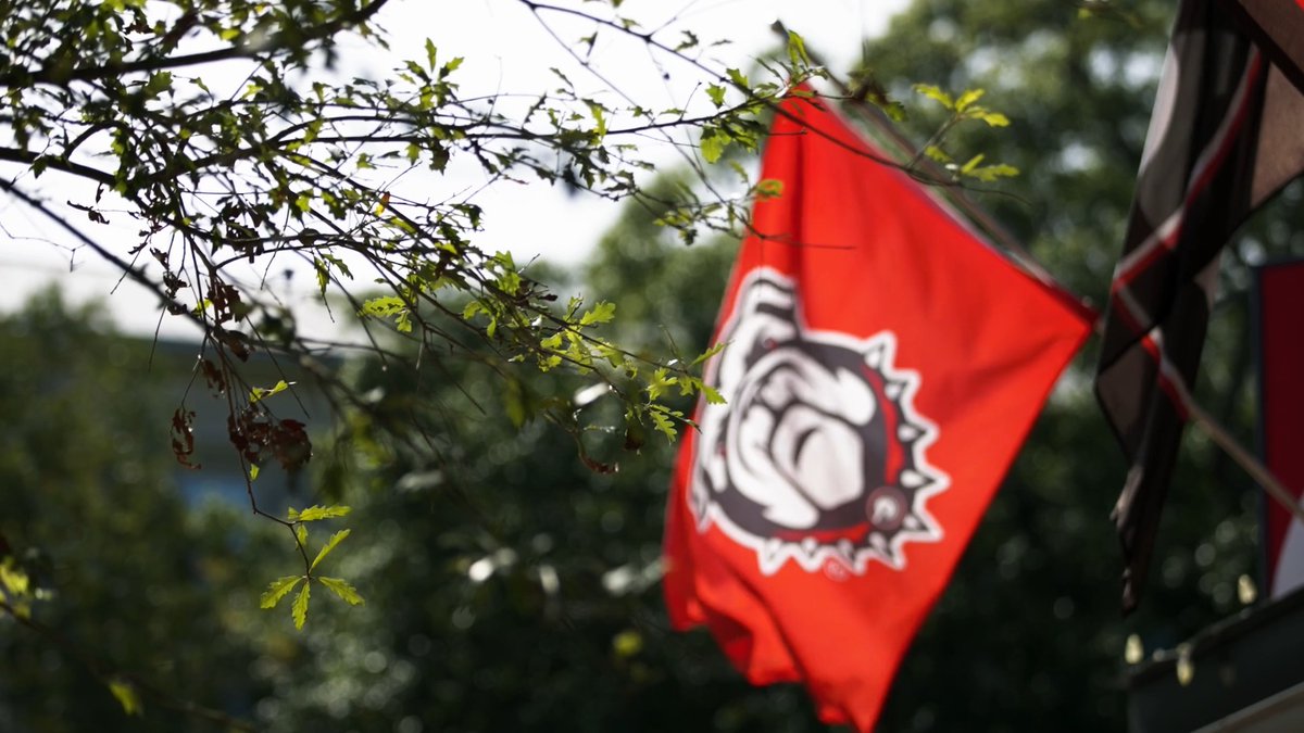 All set for Saturday! #GoDawgs | Surfside®