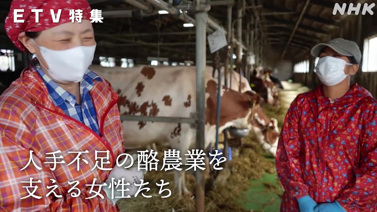 【酪農を支えるネパールの女性】 北海道・佐呂間町にて行われている、人手不足の酪農をネパール人女性に支えてもらうプロジェクト 「町の衰退」「言語の壁」「突然の廃業」 共生の道を模索する町の2年間のドキュメンタリーです ETV特集 📺17(土)夜11:00 [Eテレ]