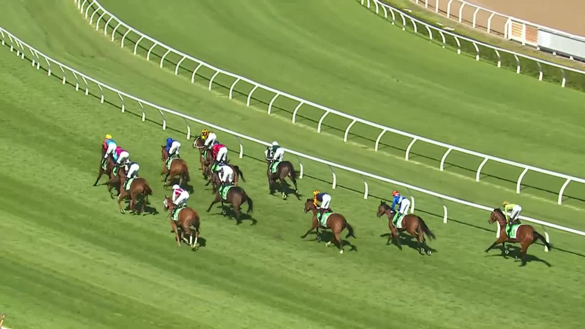 TEMPTED IS YOUR 2026 TAB EVEREST CHAMPION 🏆