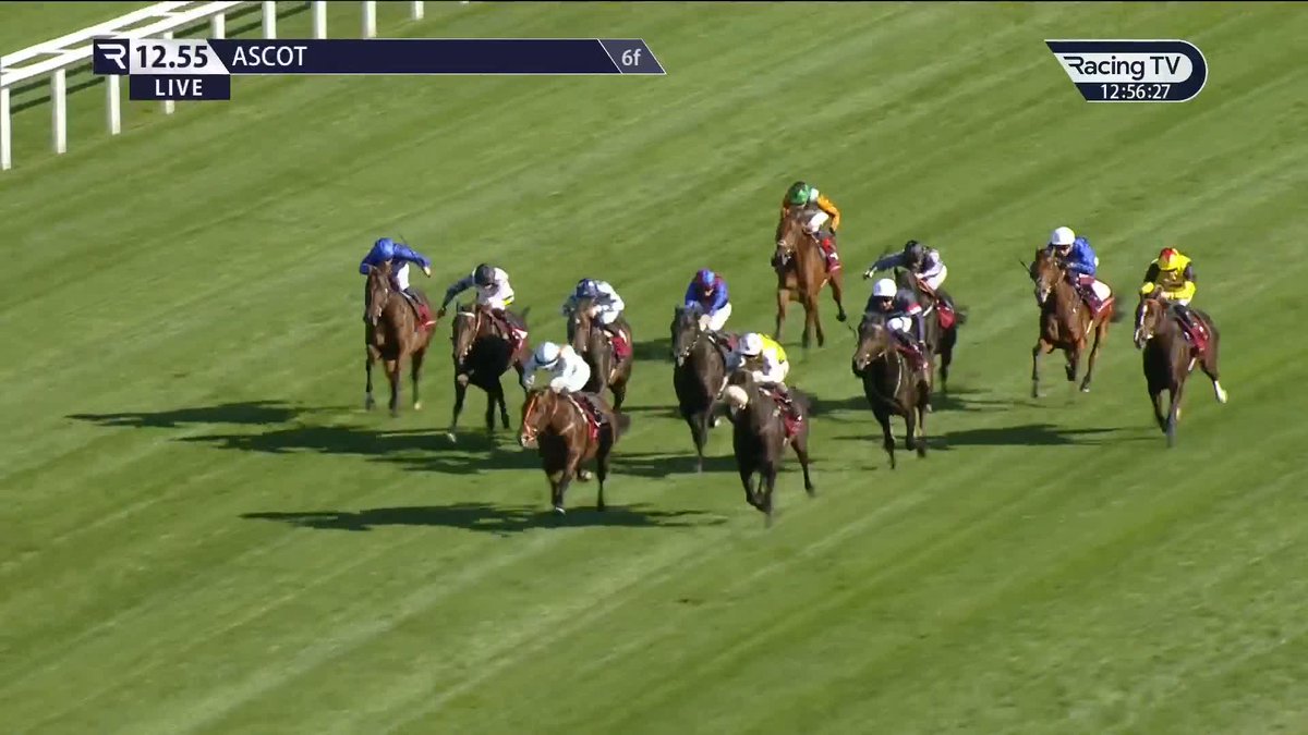 Wow! 😱 The amazing 𝐍𝐢𝐠𝐡𝐭 𝐈𝐧 𝐕𝐞𝐠𝐚𝐬 somehow runs down Arapaho Gold in the Qatar Racing British Champions Day Two-Year-Old Conditions Stakes Ascot Racecourse Charlie Bishop | Eve Johnson Houghton
