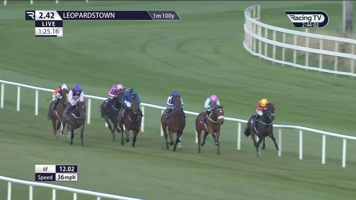 Late and FAST 🌬️ King Cuan comes home strongest to land the Listed Knockaire Stakes for Paddy Twomey Racing and Billy Lee! Bahrain Turf Club | Leopardstown RC