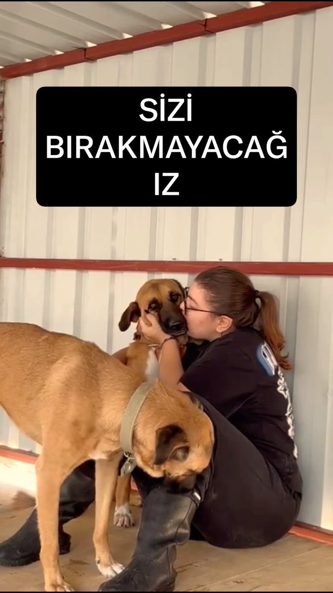 Biz bu alanda sadece köpeklerle değil bir aileyle yaşadık. Her birinin bir adı bir hikayesi ve bizi bekleyen gözleri vardı. Bizi birbirimize bağlayan sevgiyi hiçbir güç yok edemez. Onları bizden kopardınız ama hiçbirinden vazgeçmeyeceğiz. Bu hikayenin sonunu siz yazamayacaksınız KÖPEKLERİMİZİ GERİVERİN