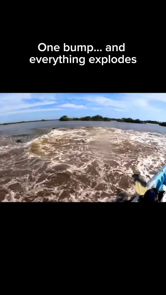 These travellers never knewn manatee were under their boat, when then accidentally touched it, everything exploded