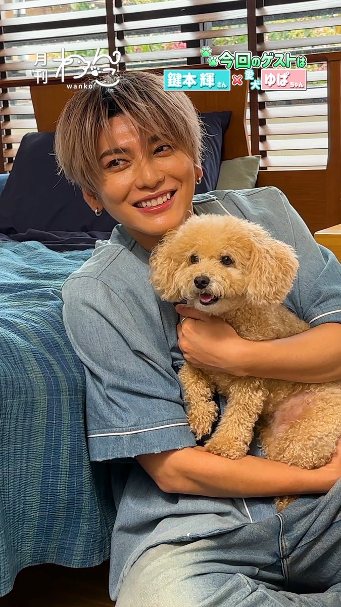 【YouTube】配信しました！🐶 Lead 鍵本輝さんと愛犬ゆぱちゃんが遊びにきてくれました！（マルプー｜月刊わんこ撮影オフショット）本編はYouTubeへ→ YouTubeより #Lead #鍵本輝 #マルプー