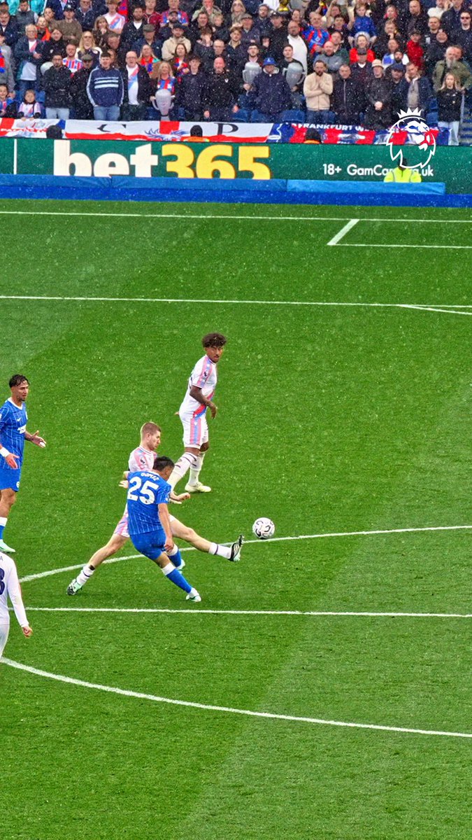 Breathtaking 😮‍💨 Brighton & Hove Albion