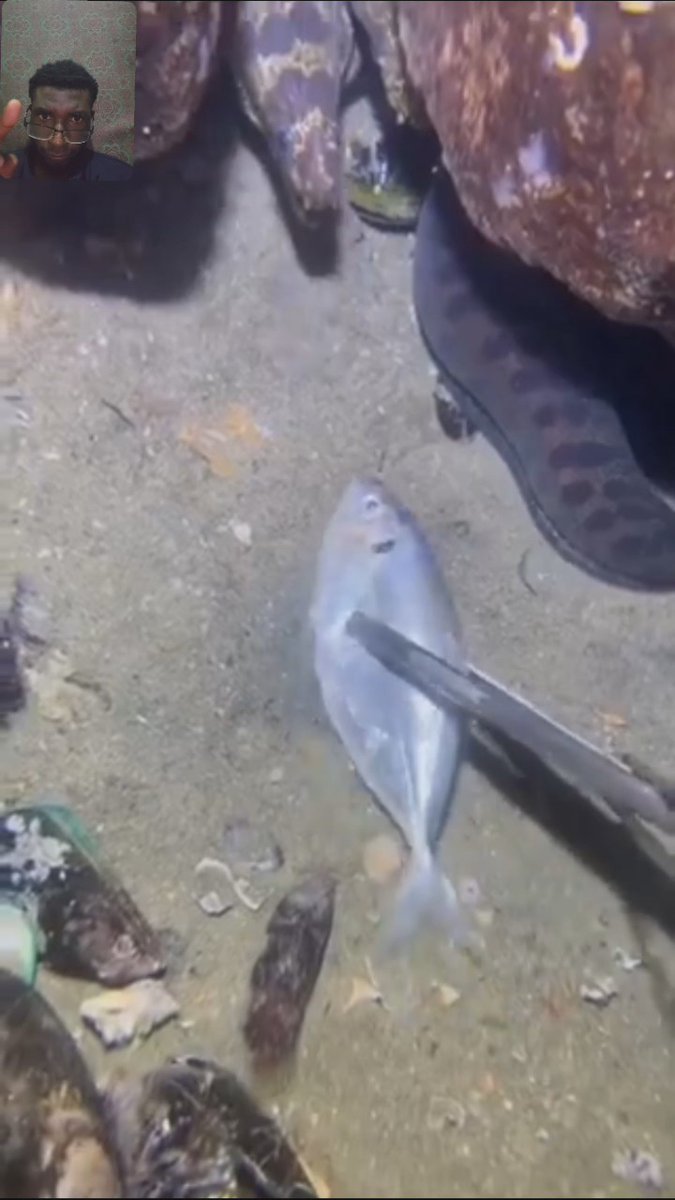 He set the trap to catch the fish…. Bir forget about one thing: Reflex Wild always react first😳😳