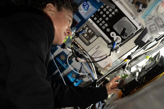 Planting the seeds for deep space exploration! 🌱🚀 Astronauts on the space station are continuing to test ways to grow fresh food in microgravity using plant pillows, advancing NASA Science research on seed storage and crop growth capabilities for future exploration missions.