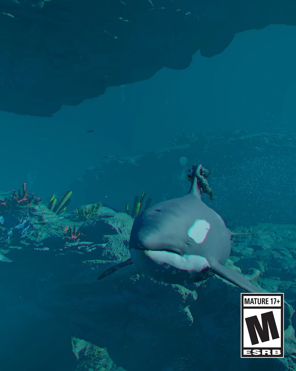 Wondering what's waiting for you in Charting the Unknown? 👀 From new stories, ocean exploration, and more content to enrich your life in Pywel, get a closer look at what new adventures await when the DLC arrives on October 29 GMT/PT. Watch the full #CrimsonDesert Features Overview now: