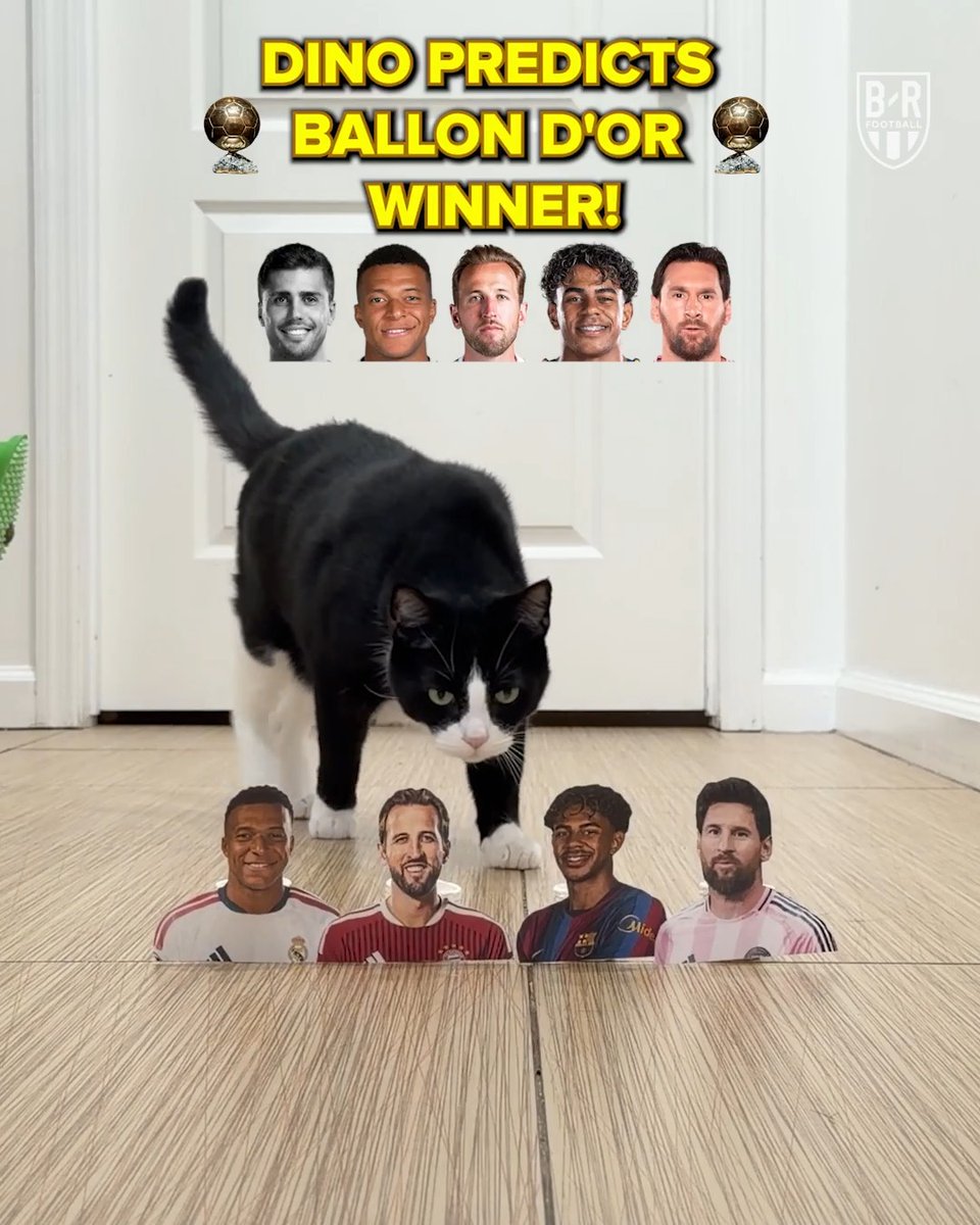 Predicting the Ballon d'Or winner by eliminating contenders one by one 🐈‍⬛