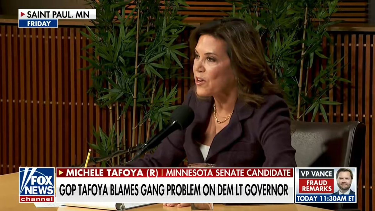 The first step to solving Minnesota’s Somali gang violence problem is to name it. My opponent refuses to. Minnesotans deserve a Senator who stands with law enforcement, stops making excuses, and puts the safety of Minnesota families first.