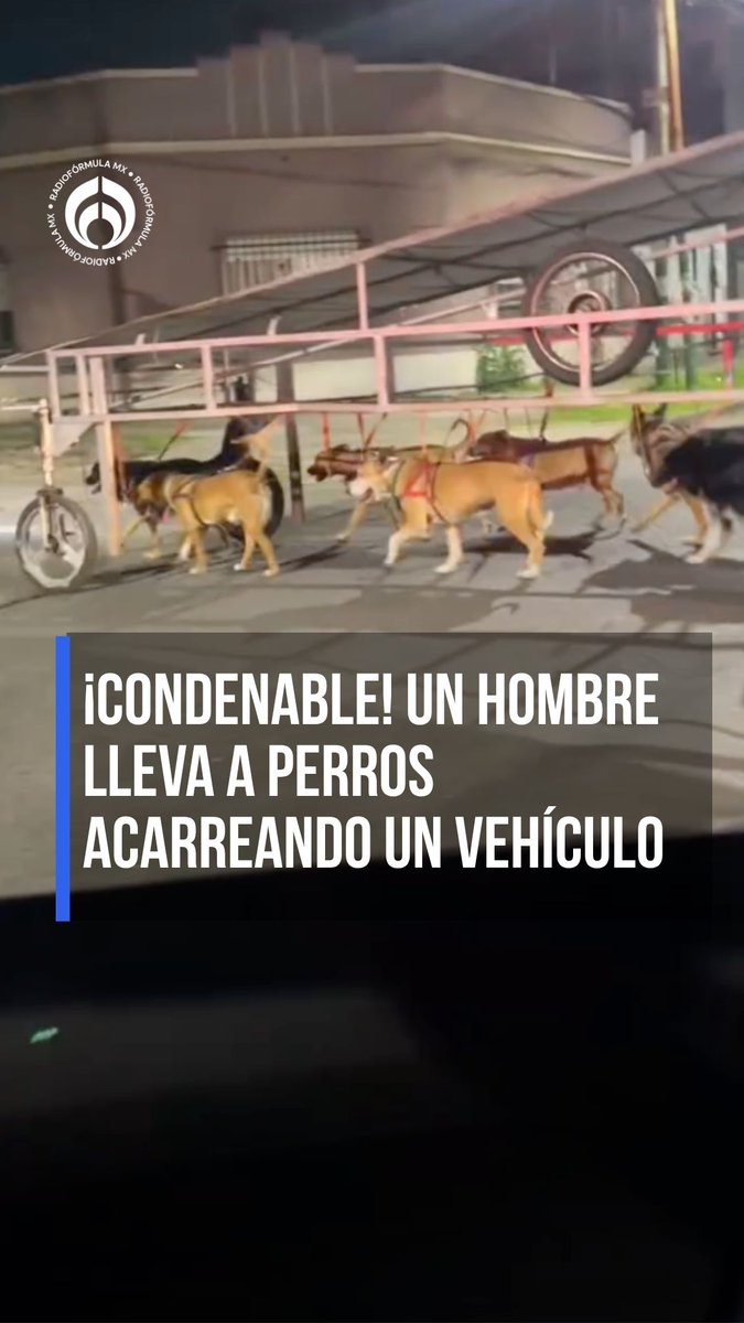¡Los perritos NO son para eso! 🐕 Un hombre graba a perritos obligados a jalar un vehículo para que avance 😡 #RFmx #Imperdible