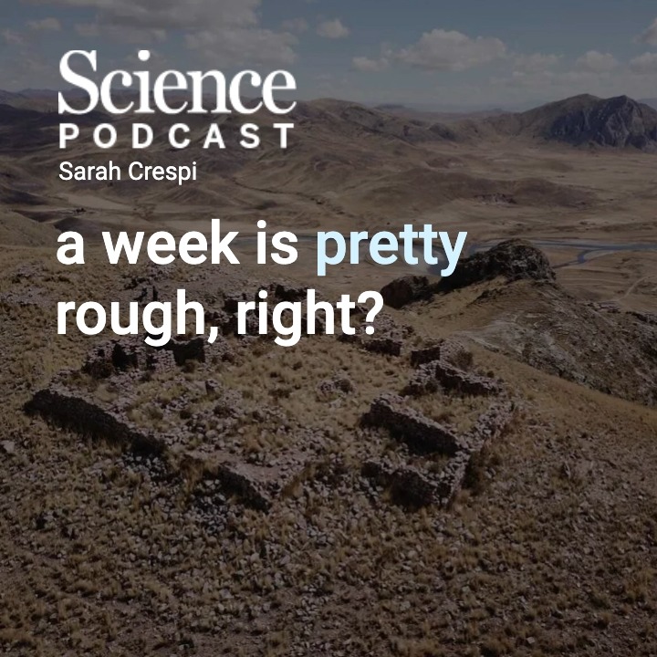 In the latest #SciencePodcast🎙️, Contributing Correspondent Lizzie Wade dives into how archaeologists are revisiting the standard Inca chronology as radiocarbon dates mix up the timeline for the empire’s inception and growth. 🎧 Listen here: