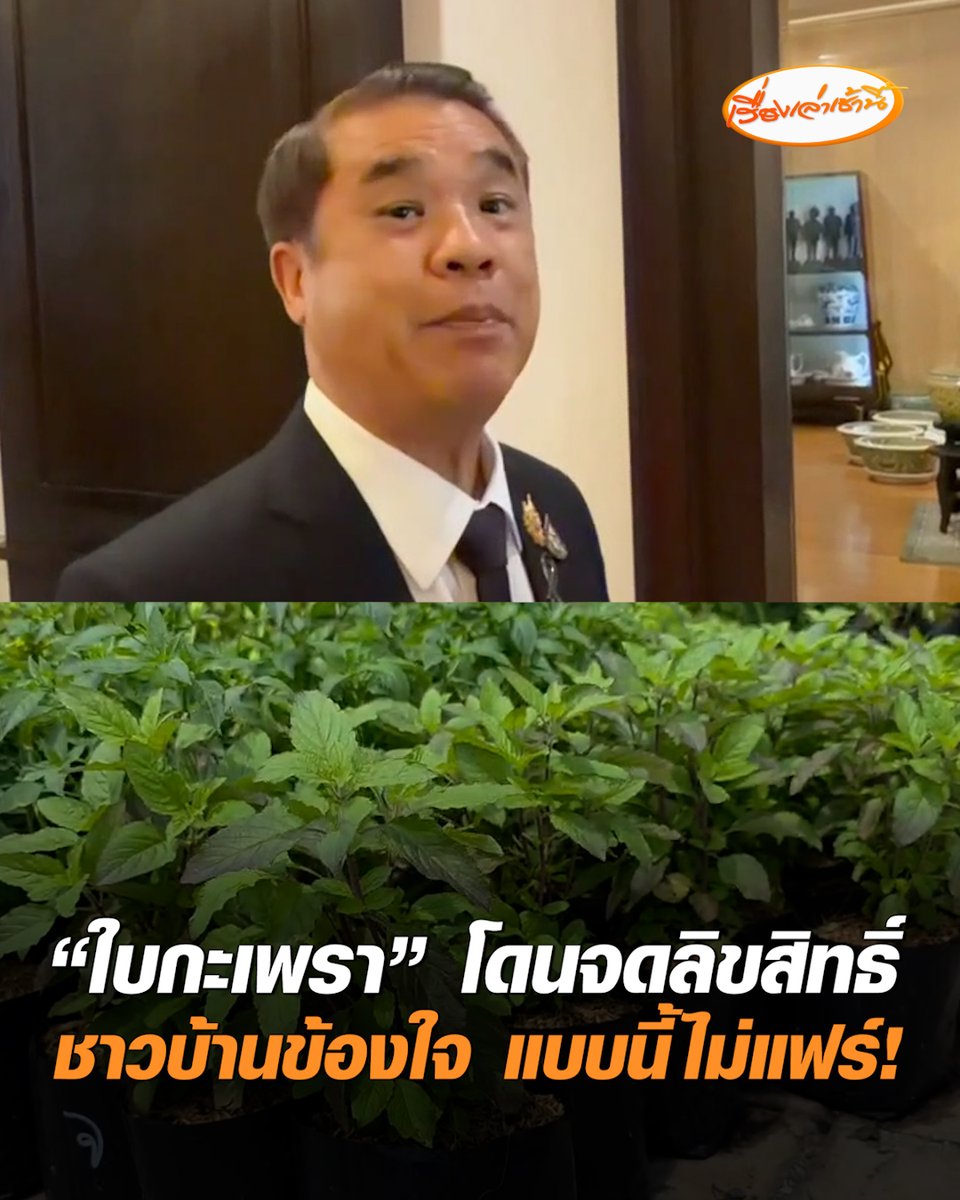 งงกันหมด! "ใบกะเพรา" โดนจดลิขสิทธิ์ "สุริยะ" แจงเอกชนยื่นจดลิขสิทธิ์ได้ ยันไม่กระทบต่อประชาชน สามารถปลูกกินในครวเรือนได้ แต่ "ห้ามนำพันธุ์ที่ได้รับความคุ้มครองไปปลูกขายต่อ" ชาวบ้านข้องใจ กะเพราเป็นผักพื้นบ้าน เพาะขายมาแต่โบราณ พูดเป็นเสียงเดียวกัน "เรื่องนี้ไม่แฟร์" #เรื่องเล่าเช้านี้ #ครอบครัวข่าว3 #กะเพรา #ลิขสิทธิ์ใบกะเพรา