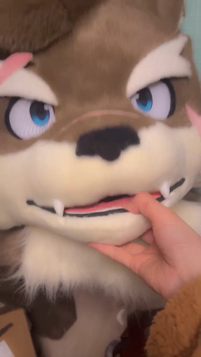 🐕Finally finished Moritaka from Tokyo Afterschool Summoners! I’m so happy to bring this loyal boy to life as a fursuit 💓Also! There is a FREE fursuit giveaway on my profile, don’t miss it! #Housamo #放サモ #Moritaka #TokyoAfterschoolSummoners #fursuit #furry #anthro
