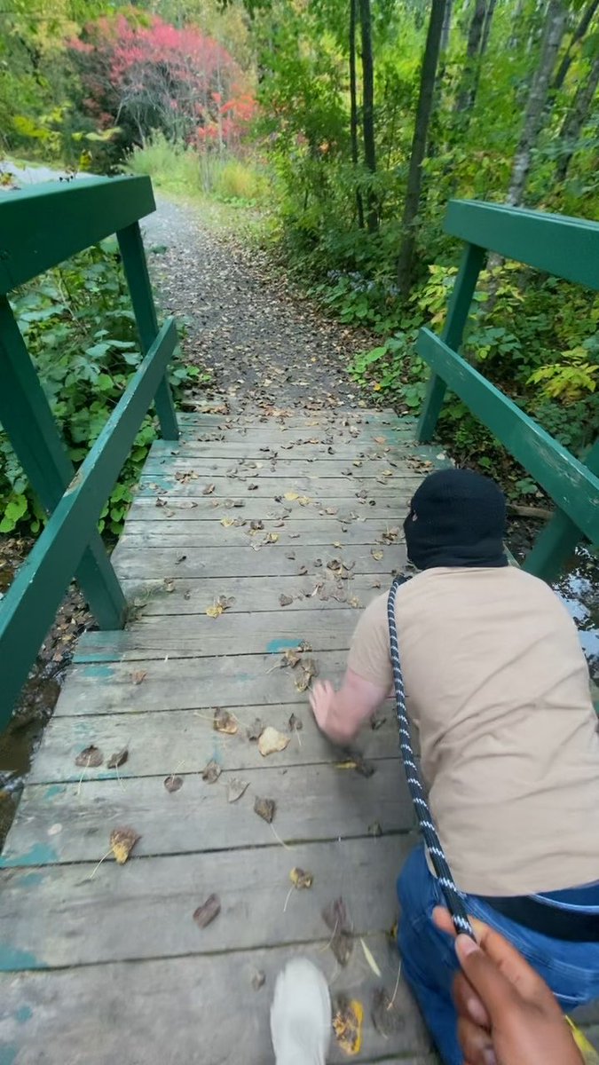 Petite promenade avec mon chien dans un de mes parcs prรฉfรฉrรฉs ๐ฅน On a croisรฉ ร 3 reprises le mรชme papy mdrr je crois quโil รฉtait soit โcurieuxโ ou nostalgiqueโฆ. Qui sait ๐คท๐พโโ๏ธ