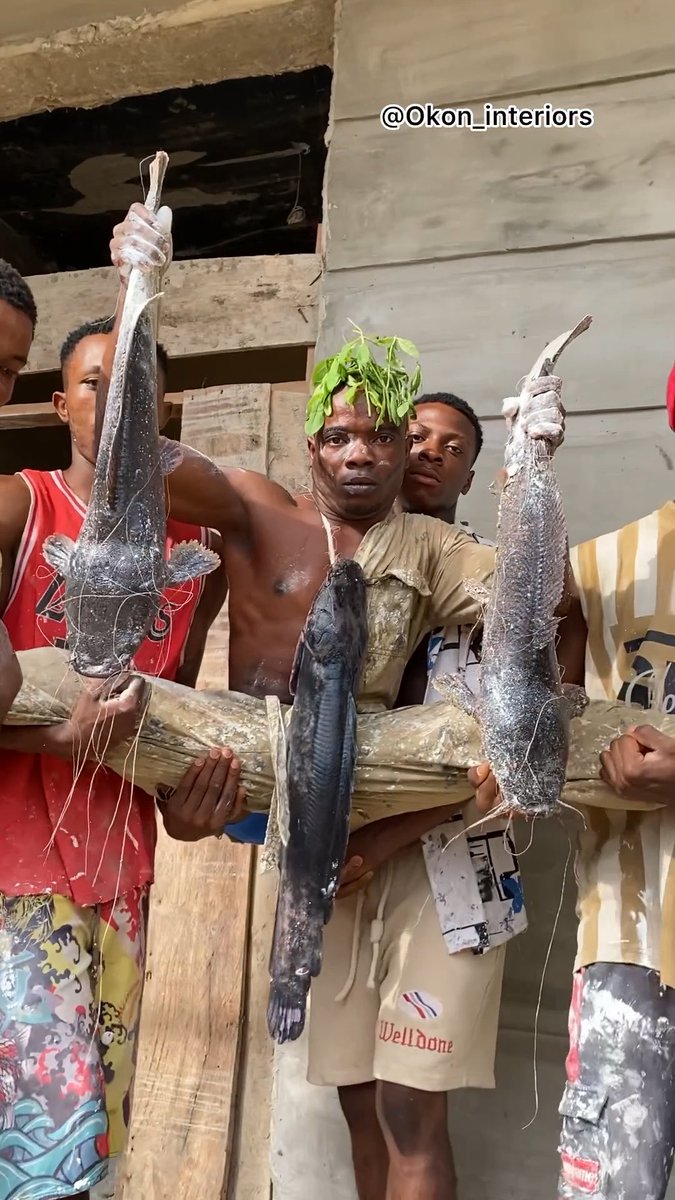How to cook waterleaf soup with 3 catfish as the richest pop man 😂
