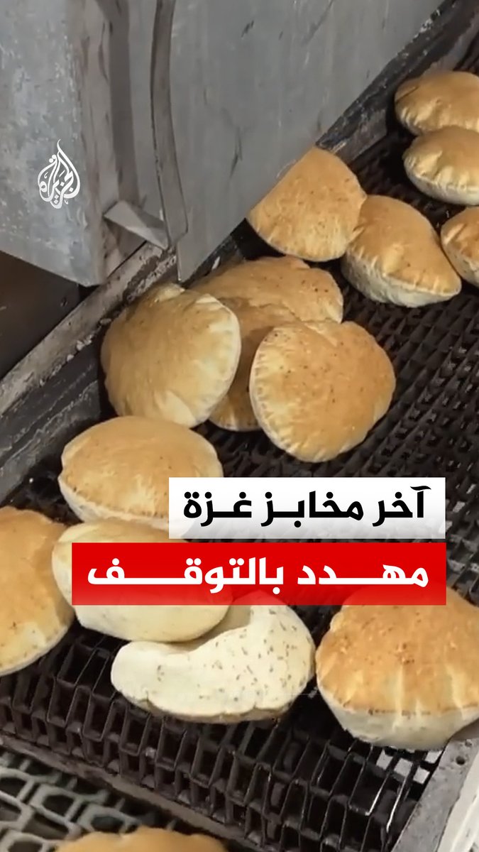 وسط تحذيرات من تفاقم الجوع.. 48 ساعة قد تفصل المخابز المتبقية في غزة عن التوقف بسبب نفاد الطحين #الجزيرة_رقمي