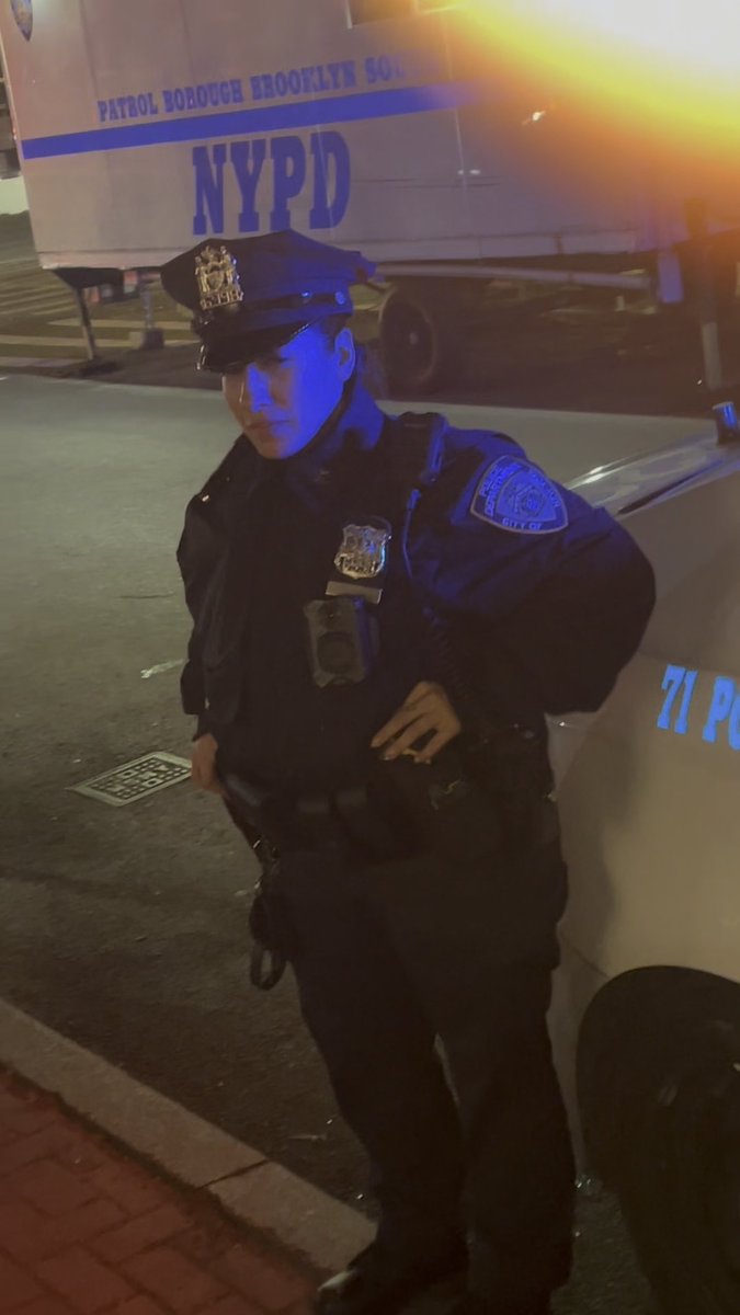 71st Precinct Audit