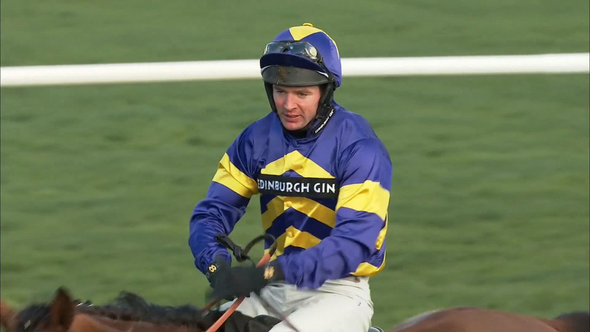 🙌 CHELTENHAM IS HERE 🙌 🎥