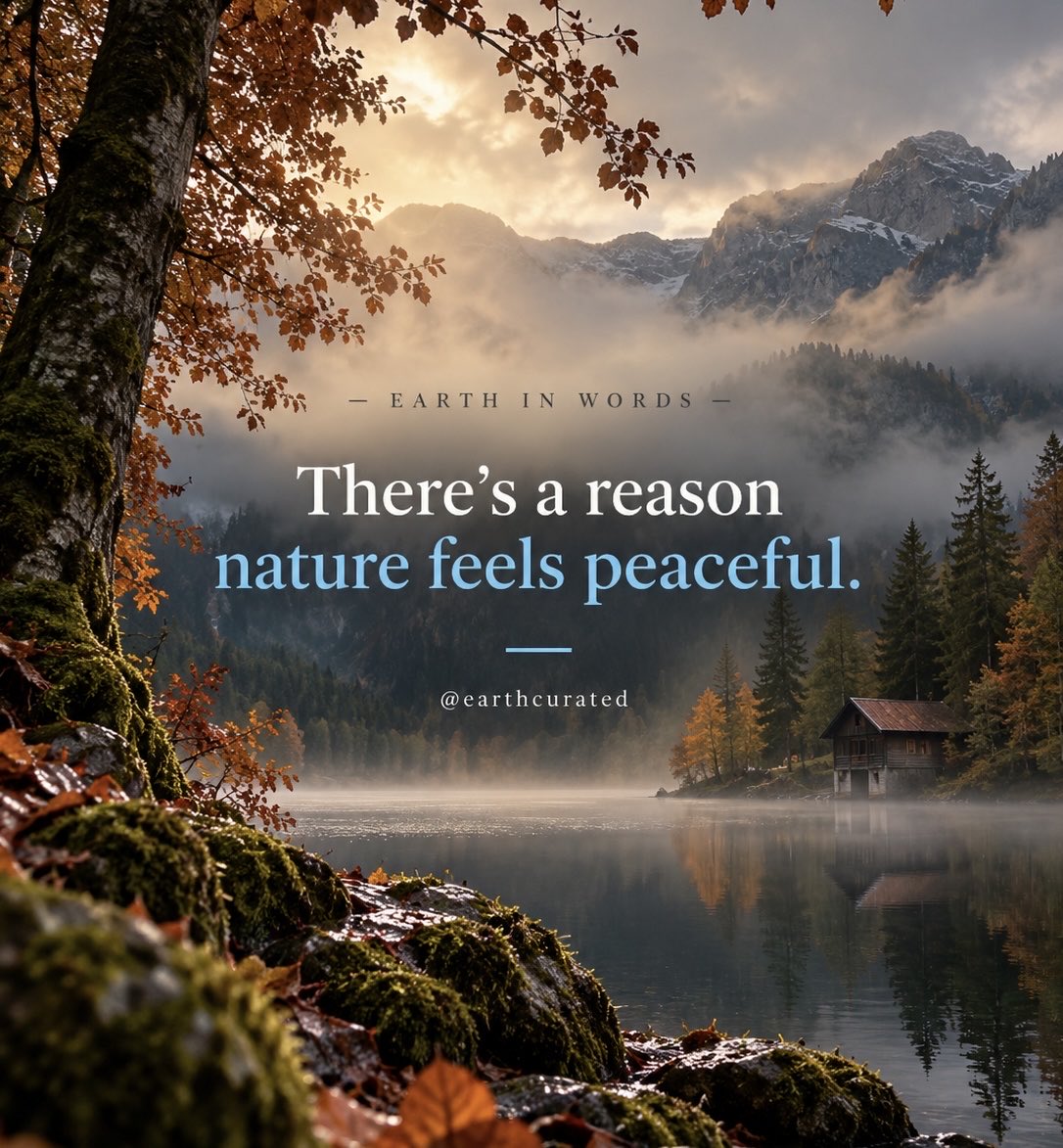 There’s something about nature that humans have forgotten.