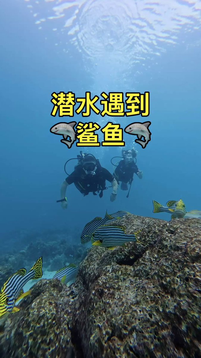 没错，就是我，双拳打破了家徒四壁，少年时期还顶住了鲁西南拳王的暴击。