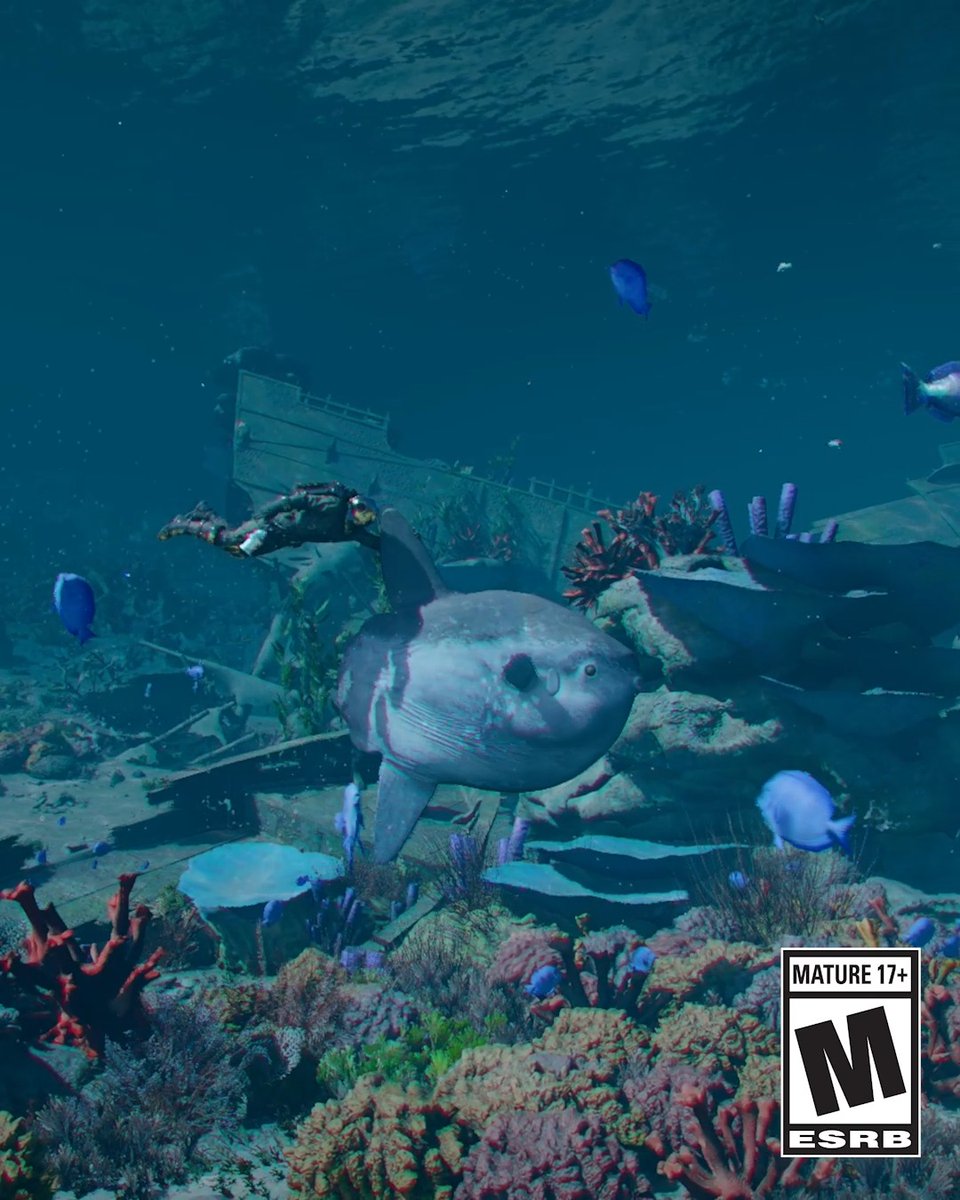 The sea is calling. Will you dive in? Explore sunken ruins, find hidden treasures, and choose your underwater mount in #ChartingTheUnknown, arriving October 29 (GMT/PT). Watch the full #CrimsonDesert Features Overview now: