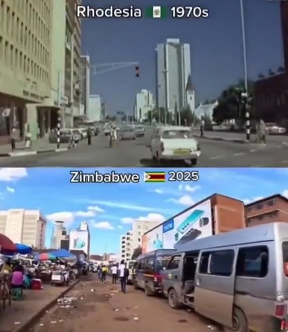 Zimbabwe is what’s coming to every single Western country. Absolutely terrifying.