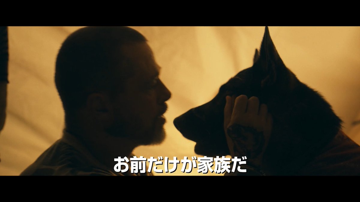 ⠀ ⠀⠀⠀ お 前 だ け が 家 族 だ 𖡡𖥧𖤣━━━━━━━━━━━━━𖤣𖥧𖥣 ⠀ 遭難したアラスカで試される、ふたつの命。 生きて還るため、互いを信じ合い支え合う ━━ ⠀ #ハートオブビースト 大ヒット上映中🎥 #ブラッドピット