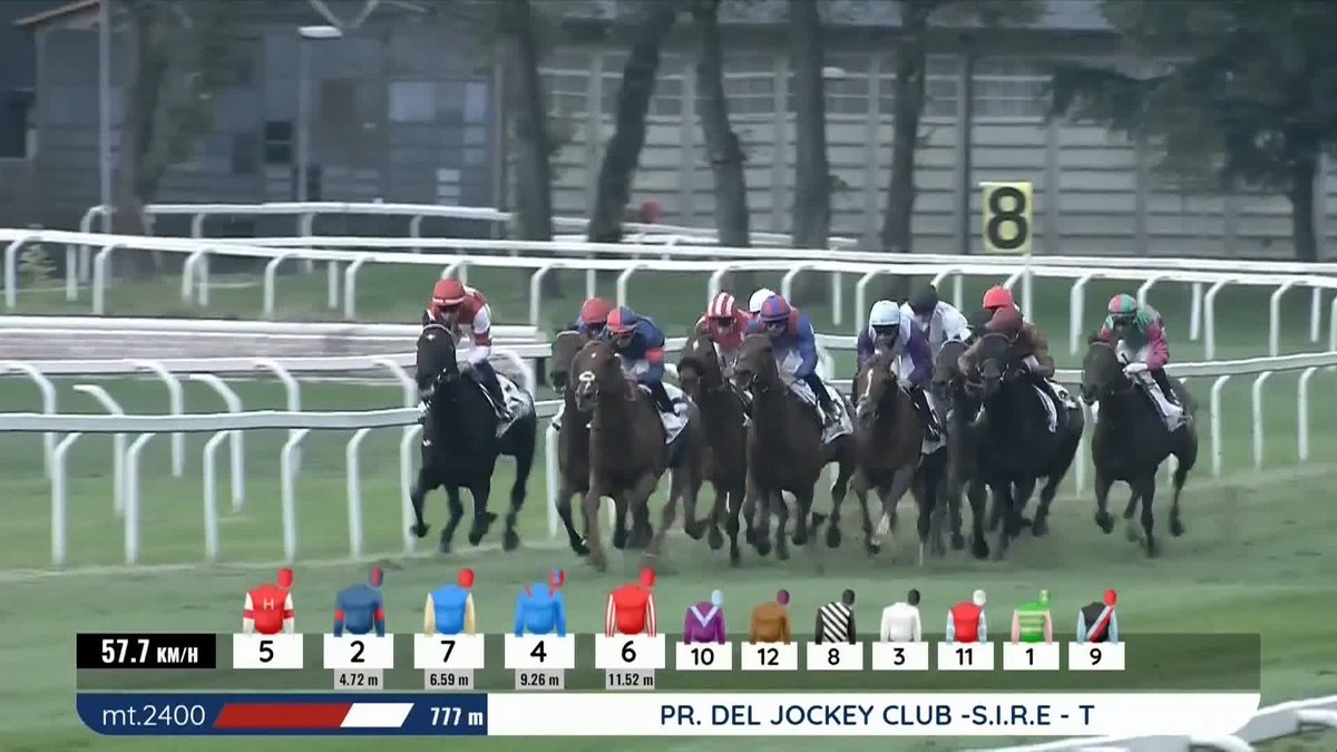 No Italian Job for Constitution Hill who finishes fifth Stingray wins the Gran Premio Del Jockey Club 🇮🇹