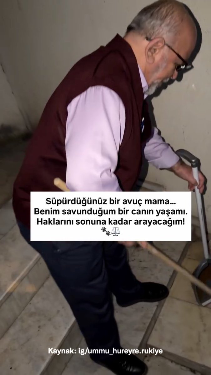 Kediler için binanın önüne mama bırakan kadın, mamaları süpürerek kaldıran bina görevlisiyle tartıştı. ➖ Size bir şey söyleyeyim mi? Şu an suç işliyorsunuz. Ben sizi kameraya çekiyorum şu an. Yarın savcılıkta bu videoyu göstereceğim. ➕Tamam, hadi güle güle.