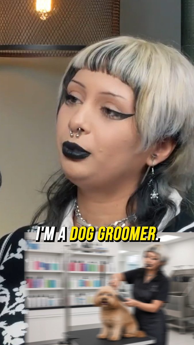 How Much Money Dog Groomers Make
