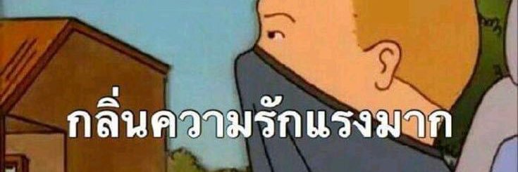 แม๋วส้ม😽's banner