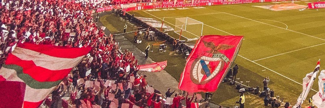 Cucho's banner
