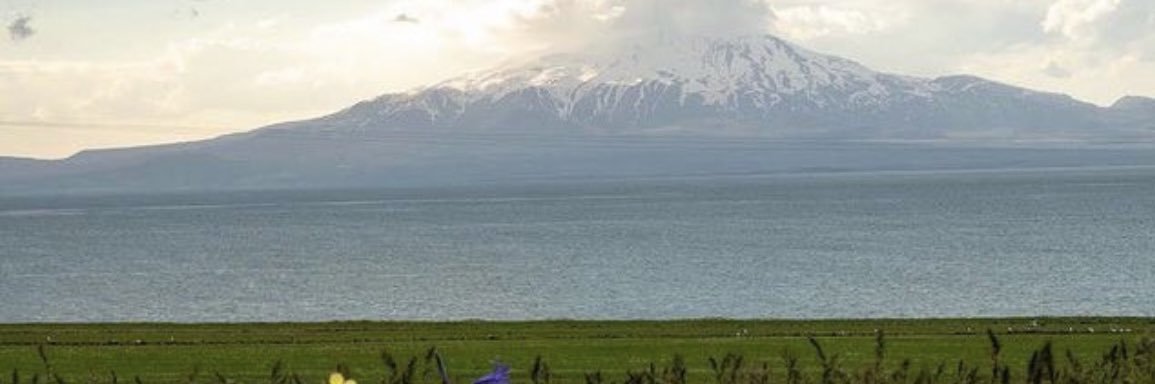 Stara Deniz's banner
