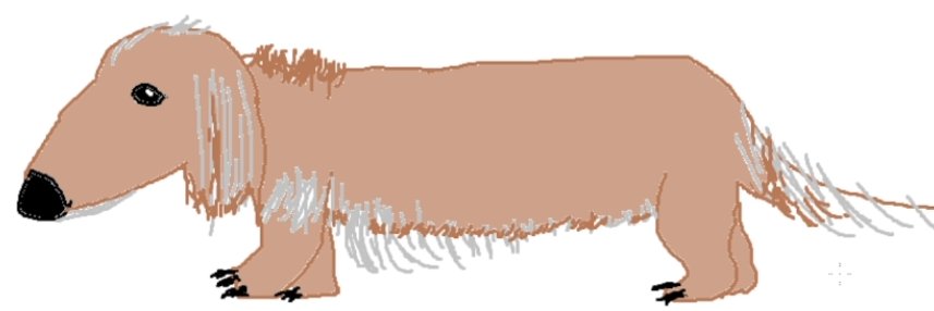 豆次郎（変な犬）'s banner