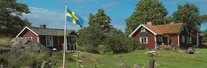 Gustav N 🇸🇪's banner