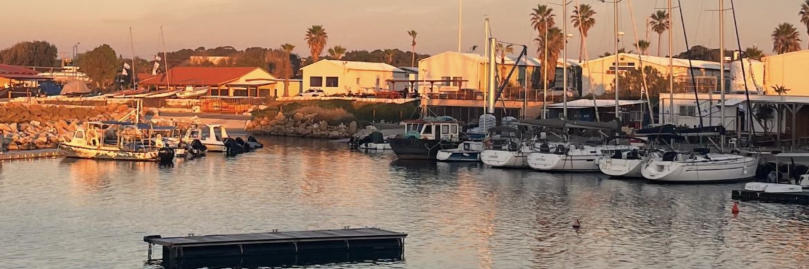 Tamirlevi15's banner