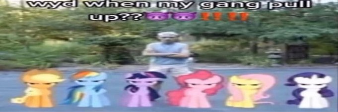 Ann K's banner