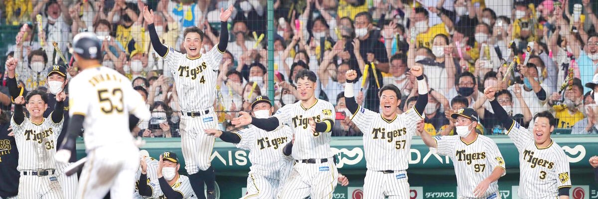 🐯よーだ🐯's banner