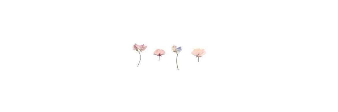 cice ;'s banner