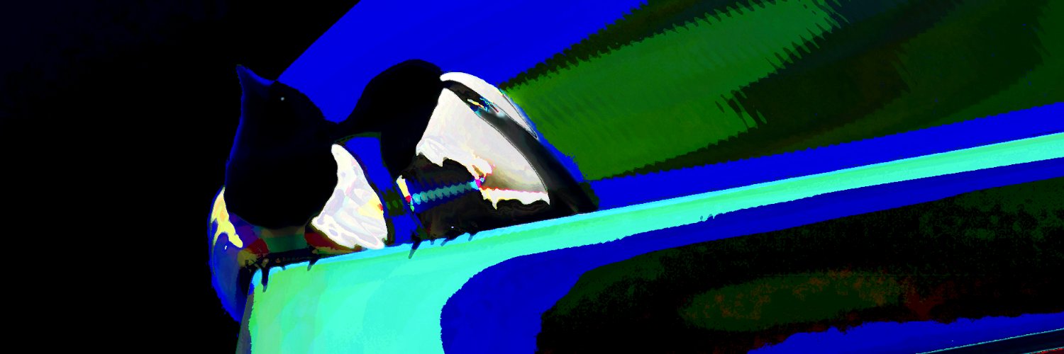 Twash's banner