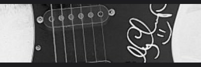Bluesmannen🎸🐸🇸🇪🇺🇸's banner