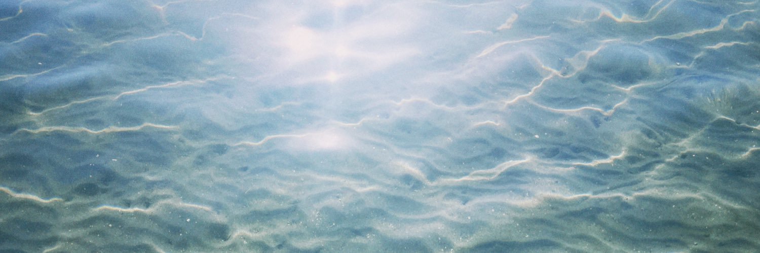 ただのふくたろう's banner