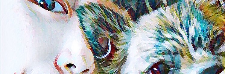 アヤコノ🧢's banner